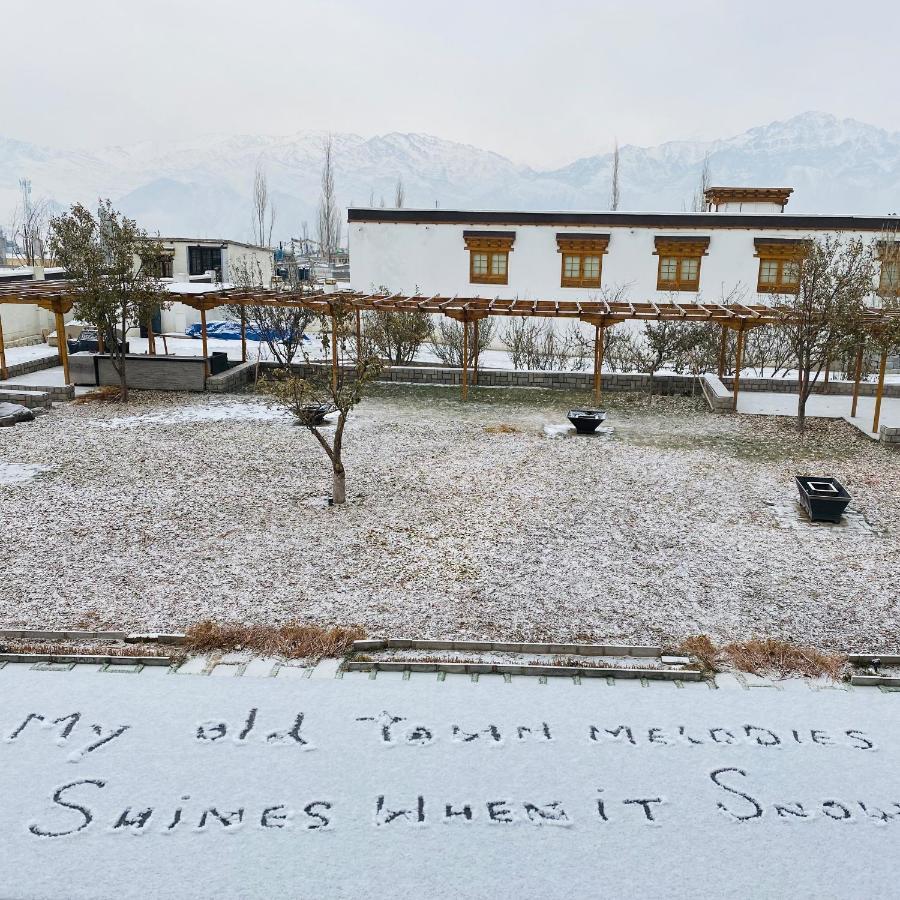 Отель The Grand Dragon Ladakh Лех Экстерьер фото